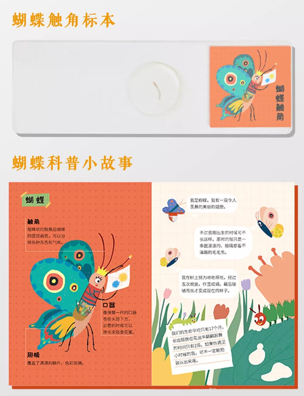 自己对准它自己动对自己准自己动