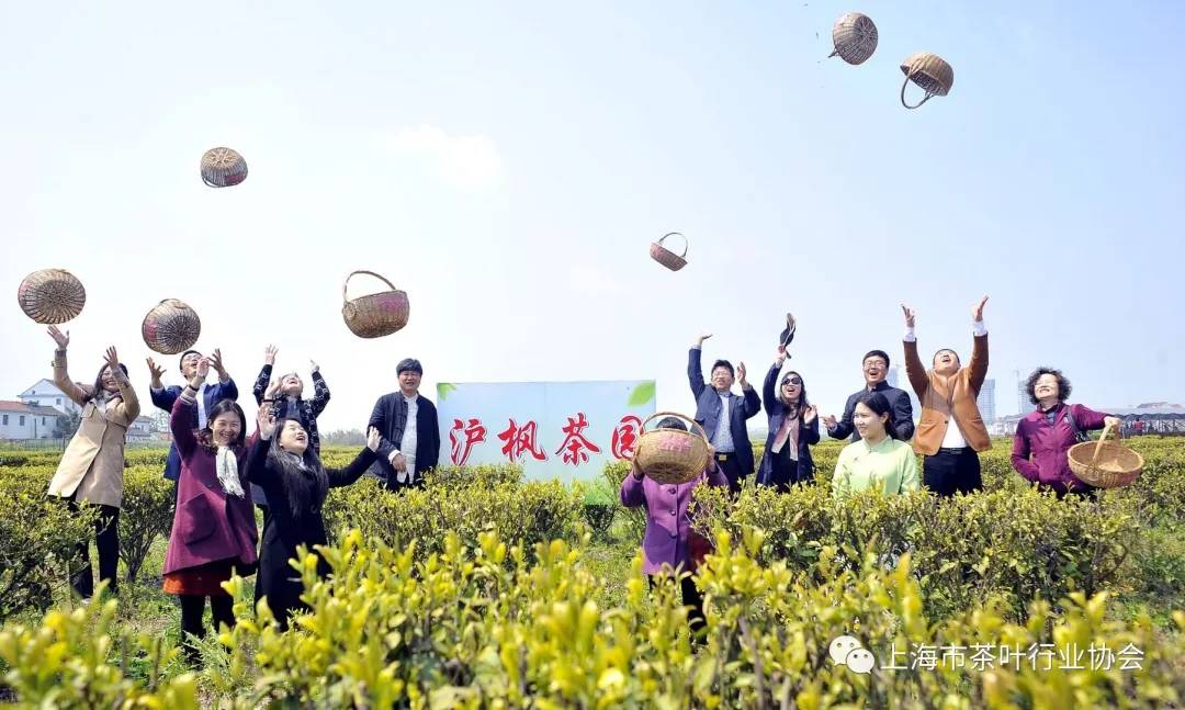 上海茶叶大王向玉荣简介上海茶叶大王向玉荣，茶业传奇与辉煌成就-第2张图片