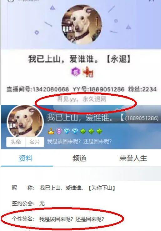 yy成人YY成人，探索成人文化的深度与广度