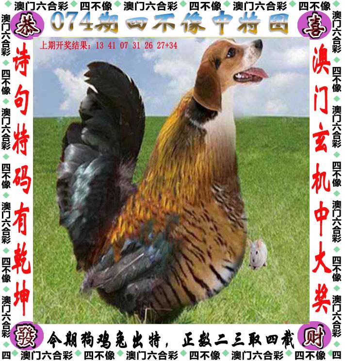 626969澳彩资料大全2021期一626969澳彩资料大全2021期3金牛，揭秘彩市风向标