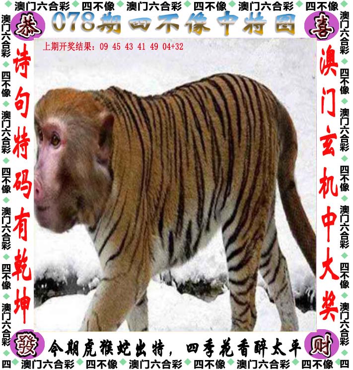 管家婆资料精准一句真言管家婆资料精准一句真言-第2张图片