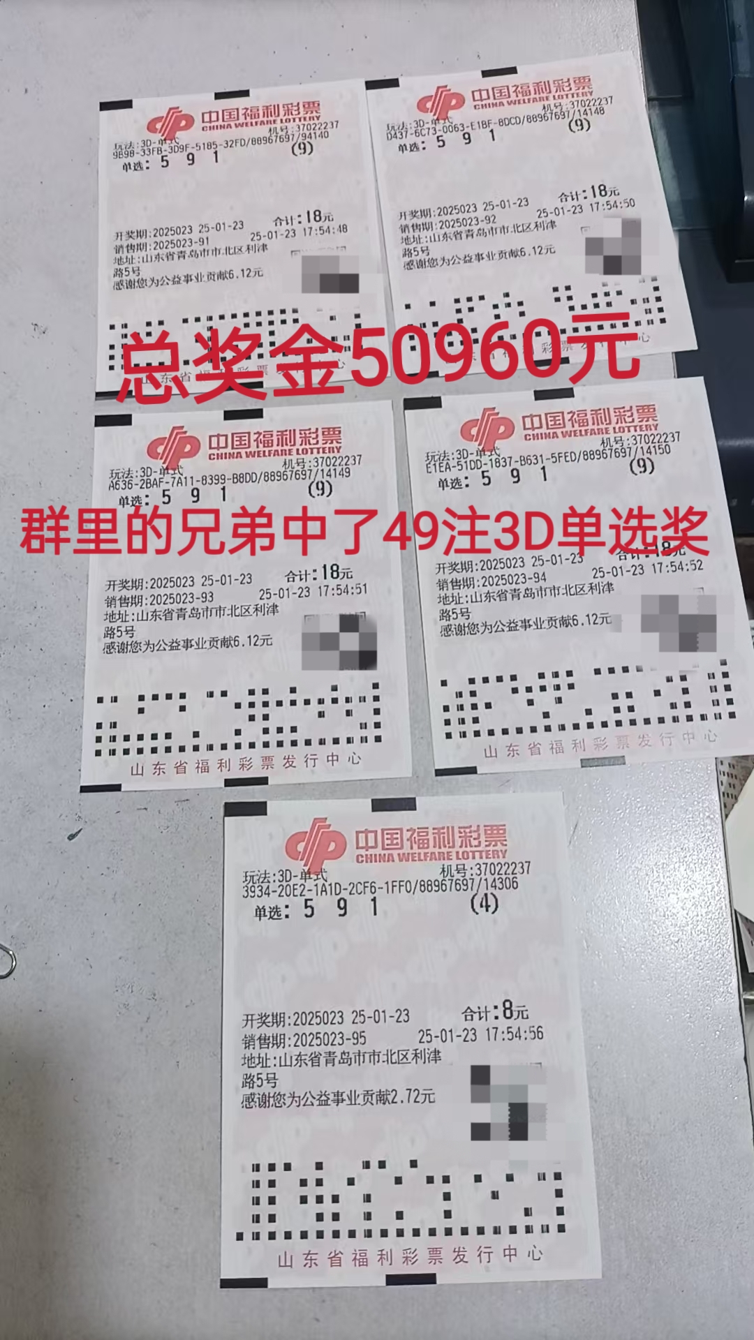 今晚3d单挑一注50倍实单今晚3D单挑一注50倍，揭秘游戏新体验