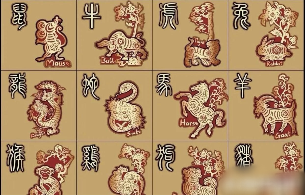 二八追求五迟疑是什么生肖动物二八追求五迟疑是什么生肖-第1张图片