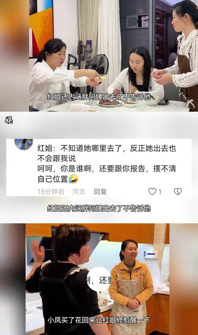 红姐网，引领网络新潮流