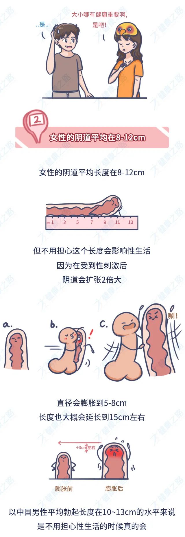 女生的隐私，一份私密的探索-第2张图片