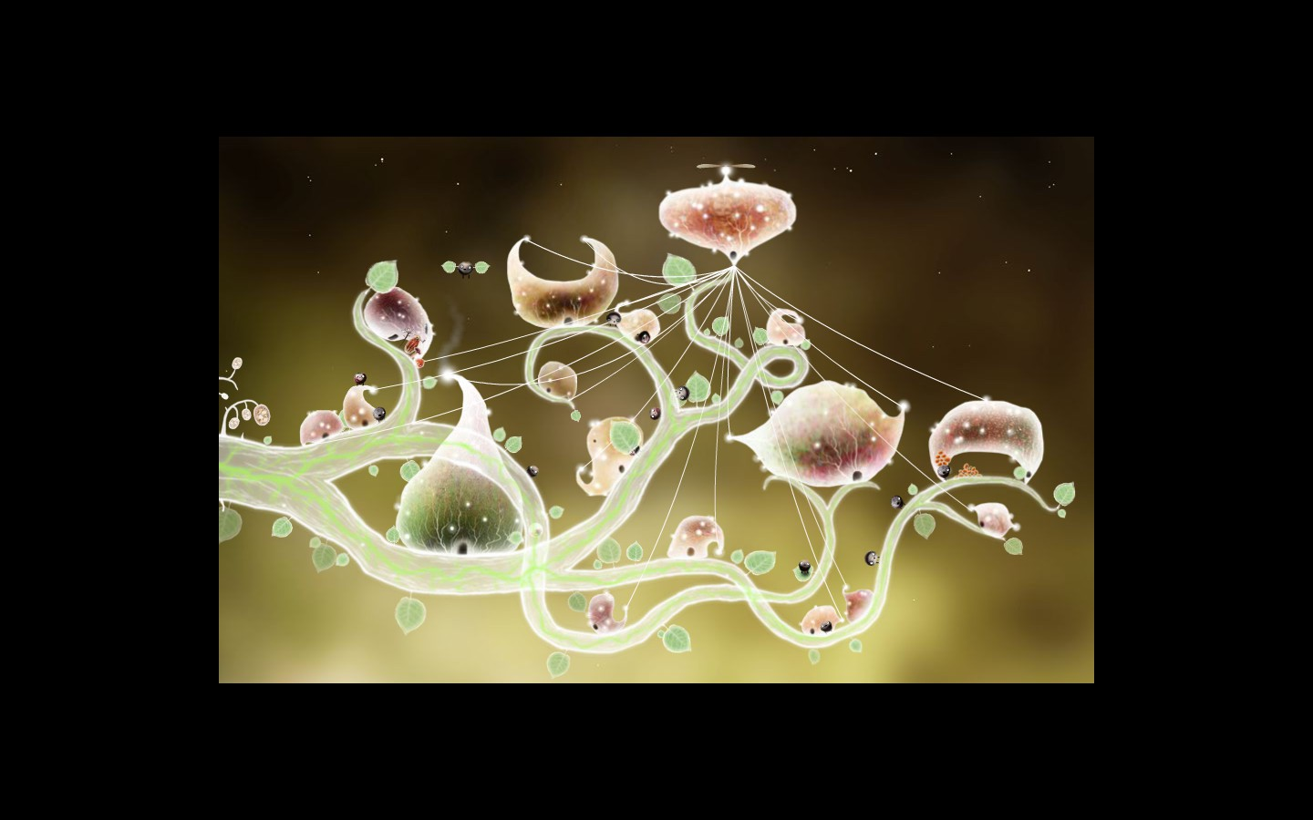植物精灵攻略图文植物精灵攻略-第2张图片
