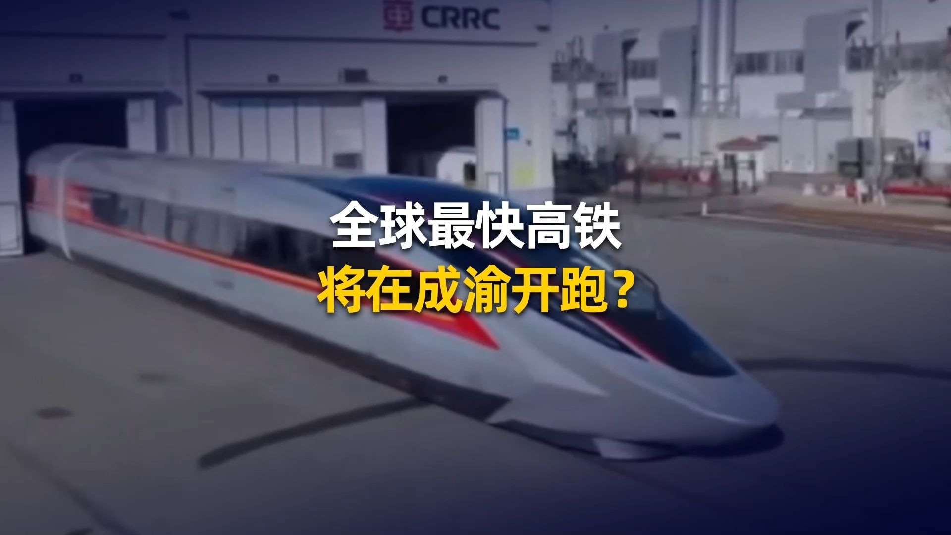 最快报码室最快报码室，极速服务与专业体验
