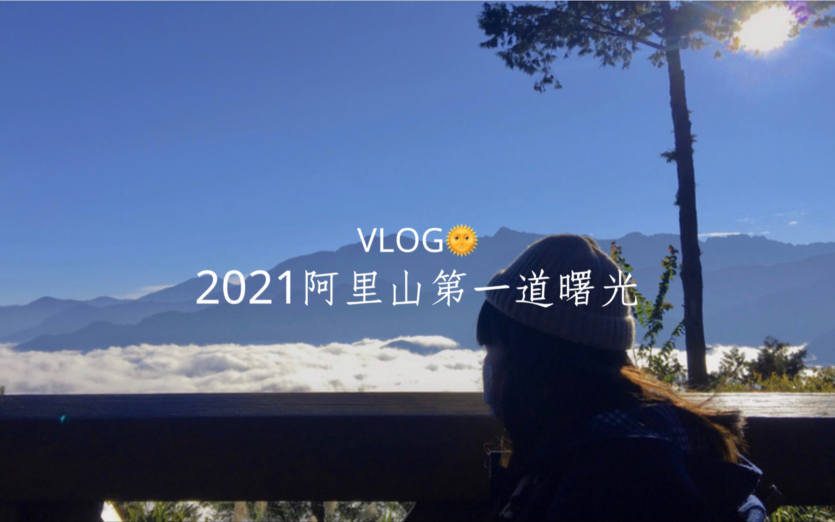 一道本在线观看视频一道本在线观看视频