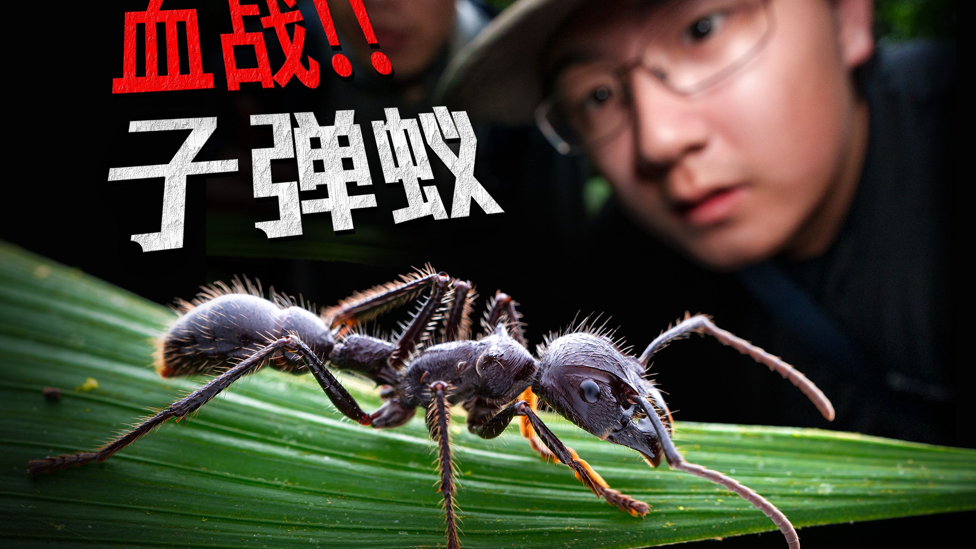 欧美无人区码卡二卡卡三卡四欧美无人区码卡二卡卡三卡四，探险与冒险的神秘之地-第1张图片
