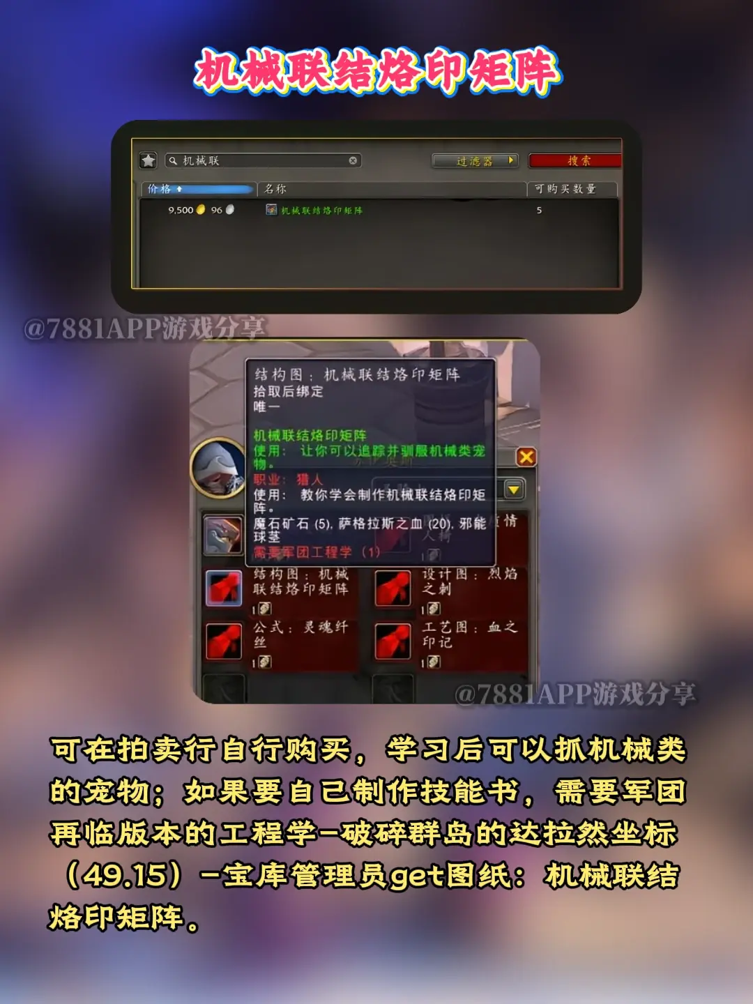 魔兽世界宠物升级攻略