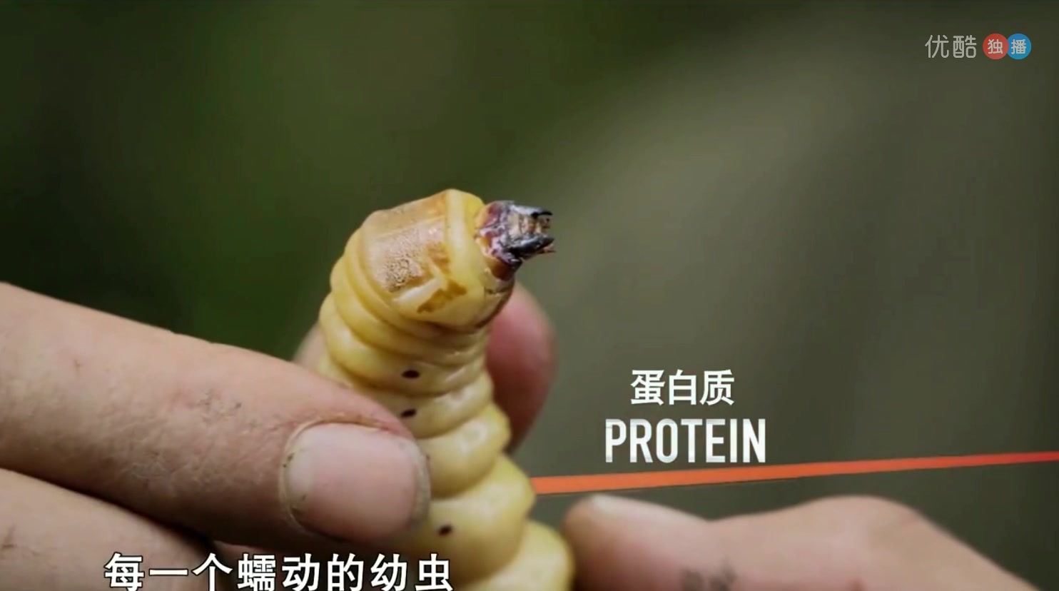 大叔说我奶奶里有虫子