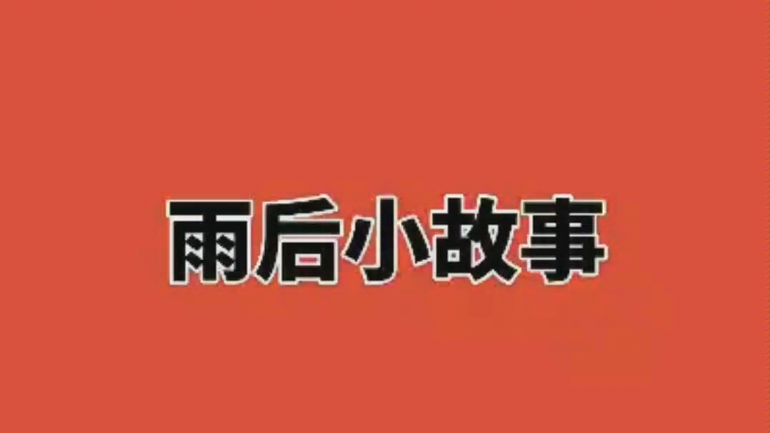 雨后的小故事38 张原画曝光雨后小故事