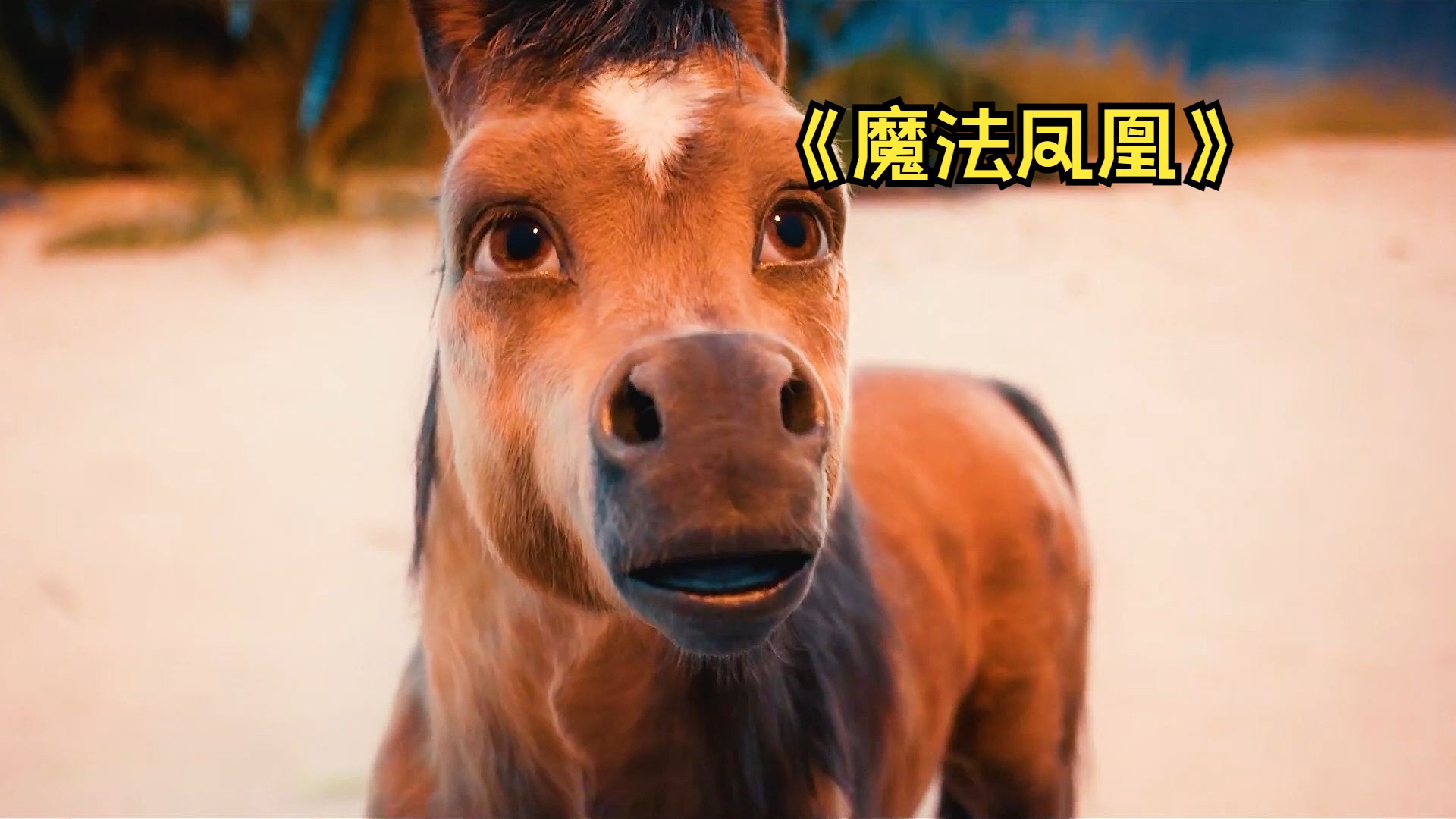 火焰鸟开挂免费下载火焰鸟，神秘生物的探索之旅-第1张图片