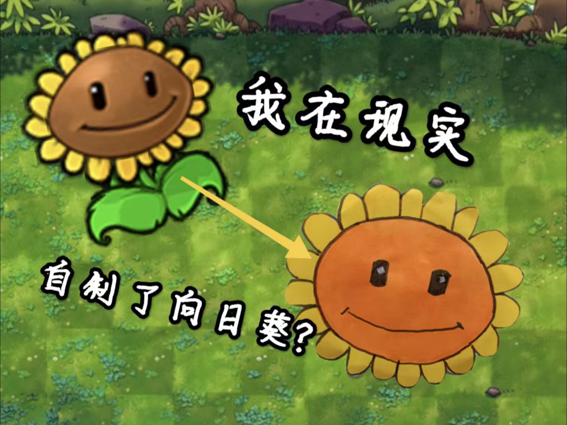 向日葵视频ios下载安装向日葵视频iOS下载安装指南