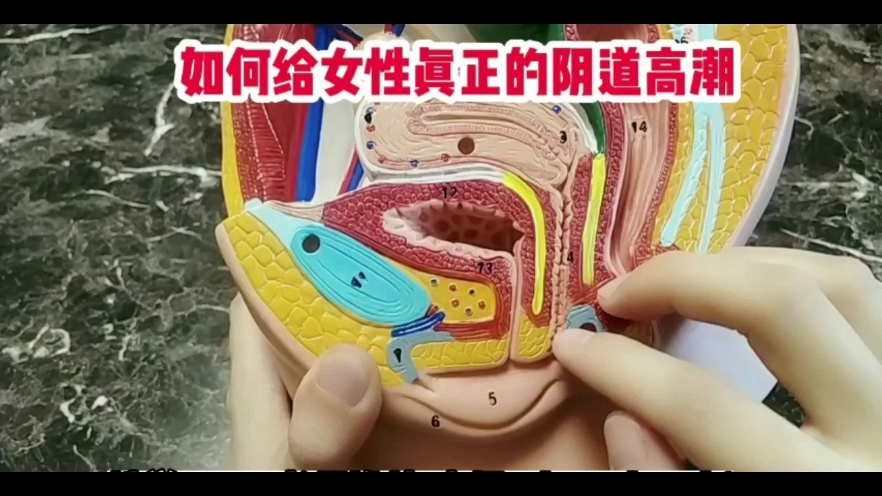 如何自w到高c 视频如何自慰到高潮亲身教学视频-第3张图片