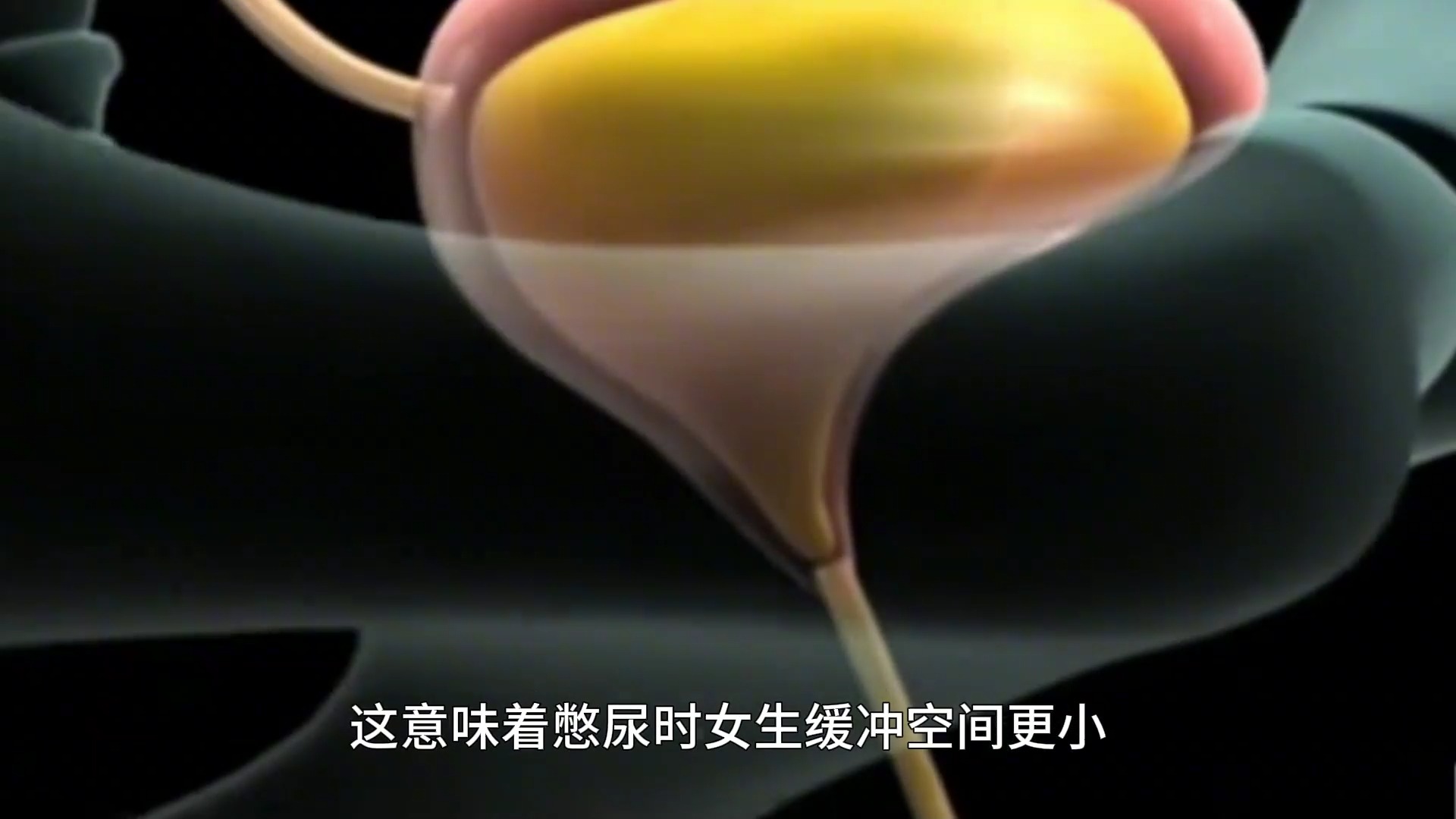 处罚憋尿规定与男性一天只尿一次