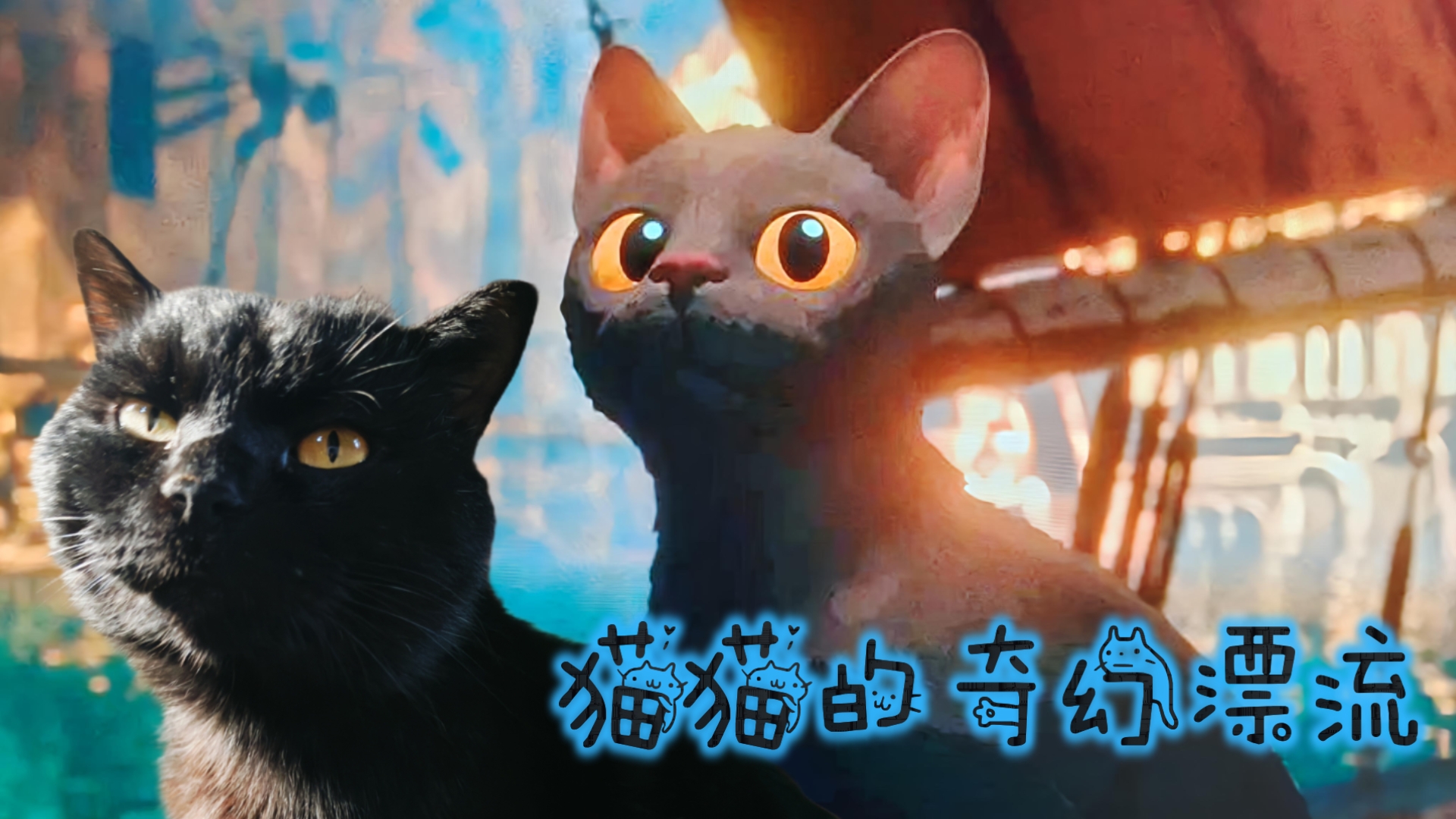 魔法猫的故事