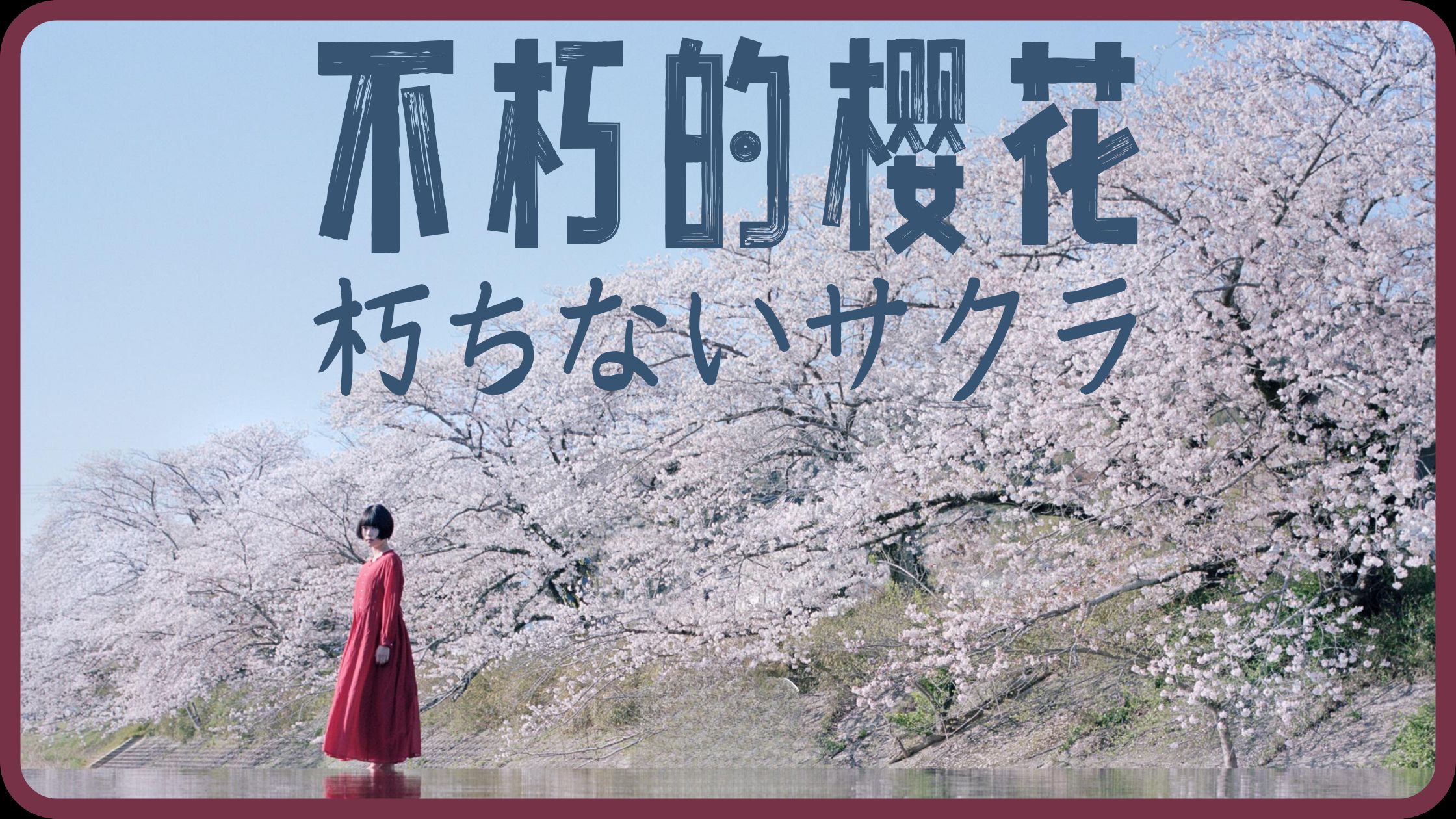 樱花女神樱花女神，春日之约-第3张图片