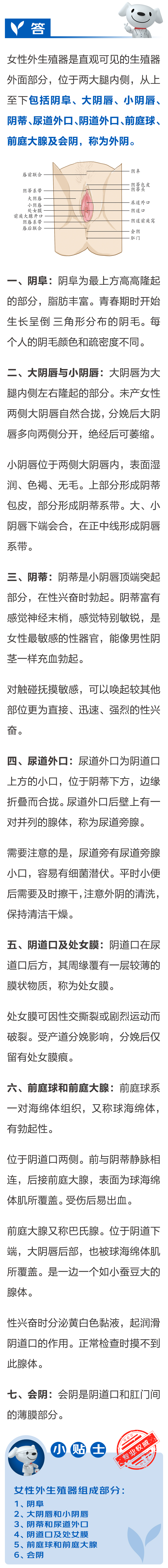 女人阴部视频的探索与启示-第2张图片