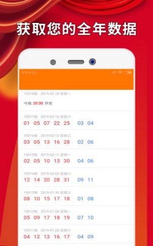 二肖3码二肖3码，彩票投注的智慧与策略