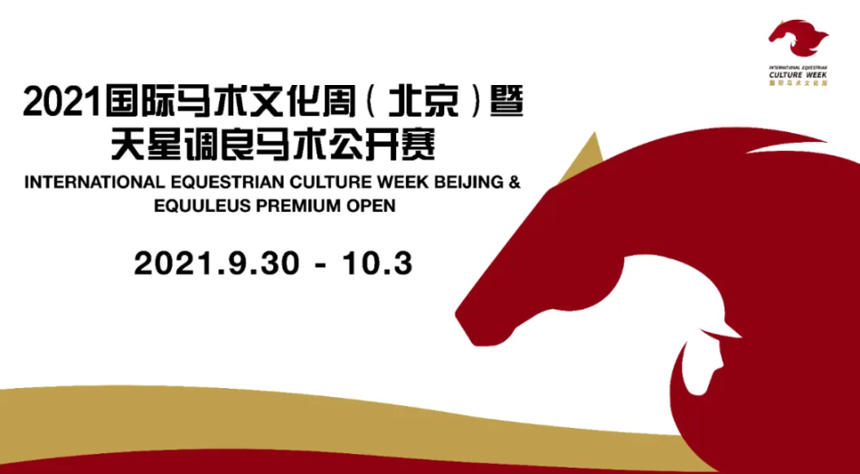 2019正版马会资料大全2019正版马会资料大全-第2张图片