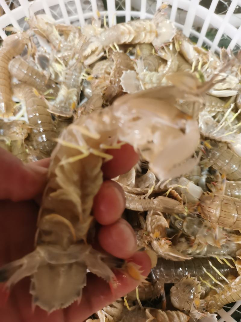 尿在肚子里不能流出来肉-第2张图片