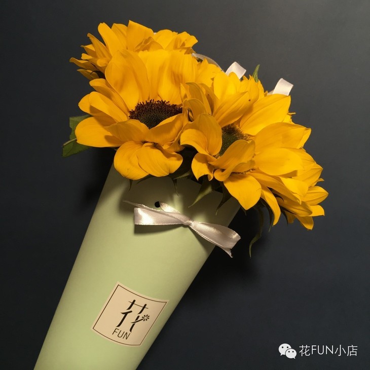 向日葵扫描二维码下载安装指南-第2张图片