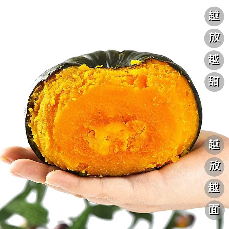 国产精品在线观看