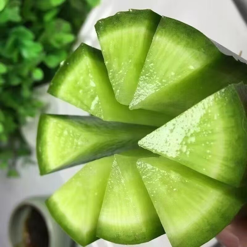 肉多 巨H公交车巨H公交车上的美味盛宴-第2张图片