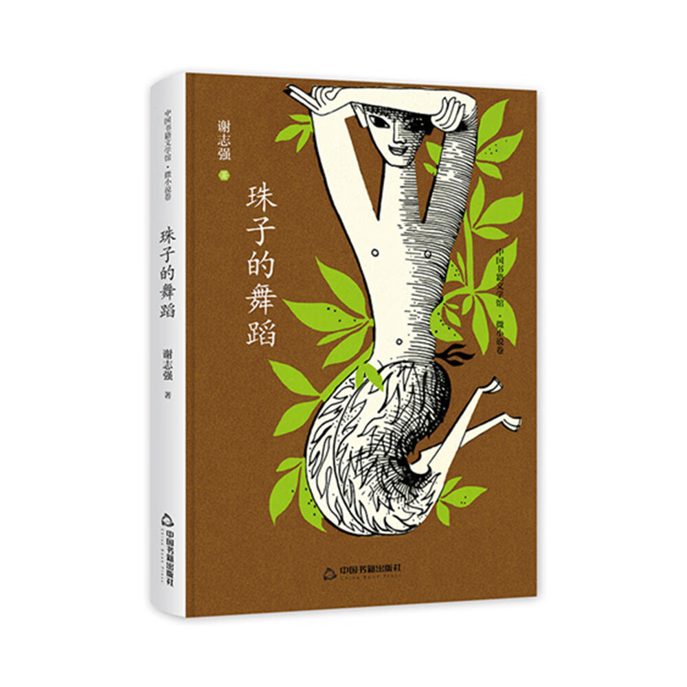 窗前的抚慰舞蹈小说窗前的抚慰舞蹈