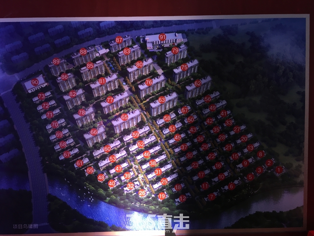 2019今晚特马开多少号结果2019今晚特马盛启