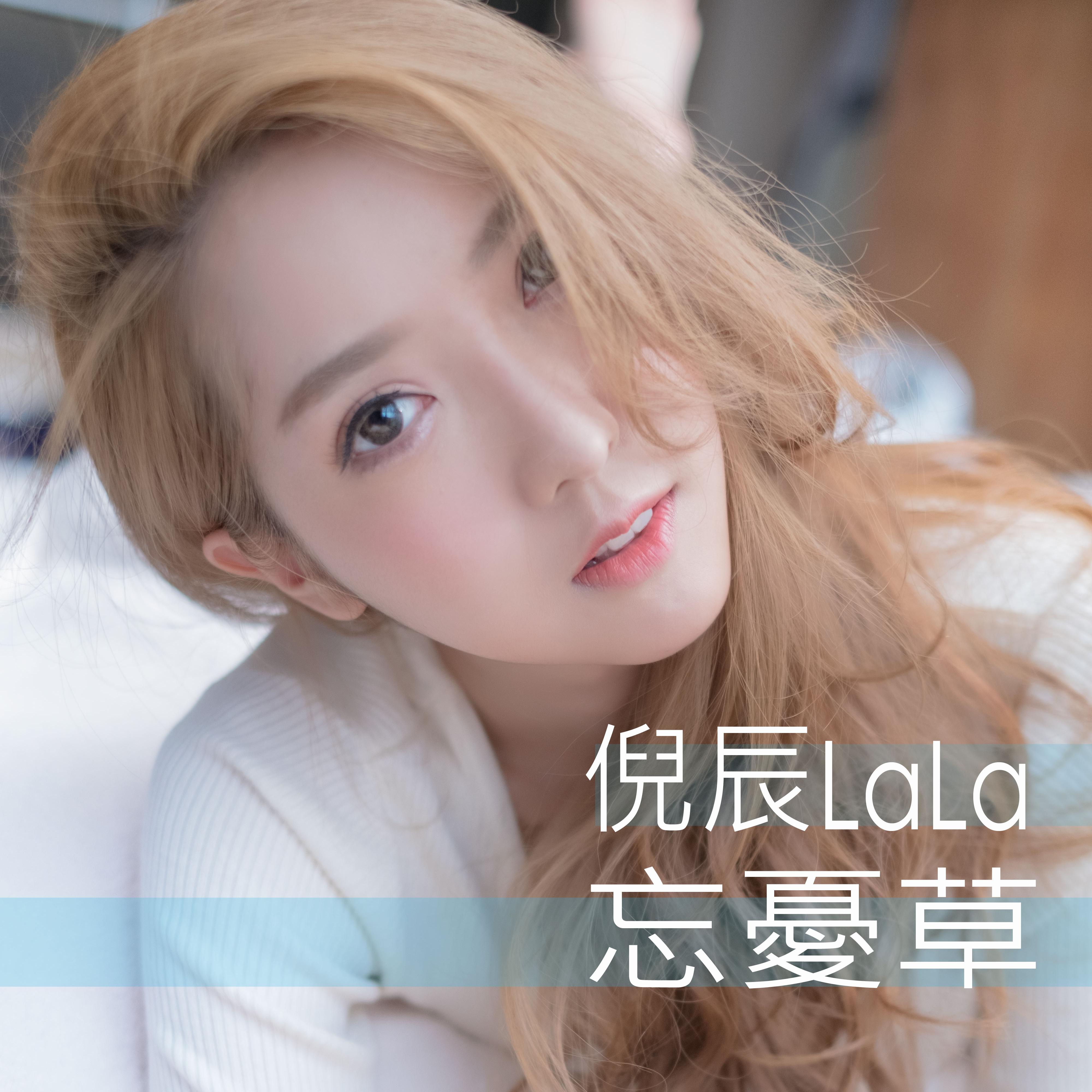 忘忧草在线观看免费视频-第2张图片