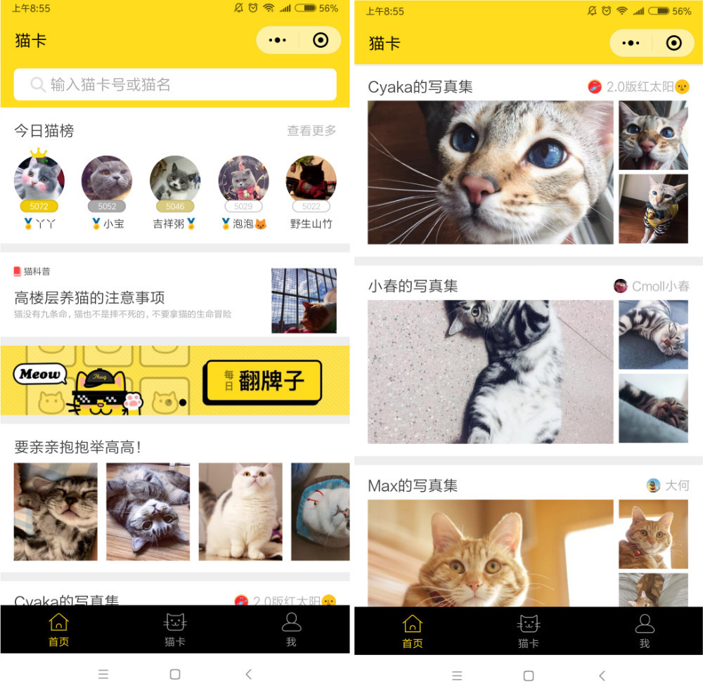 猫咪杜区app官网介绍