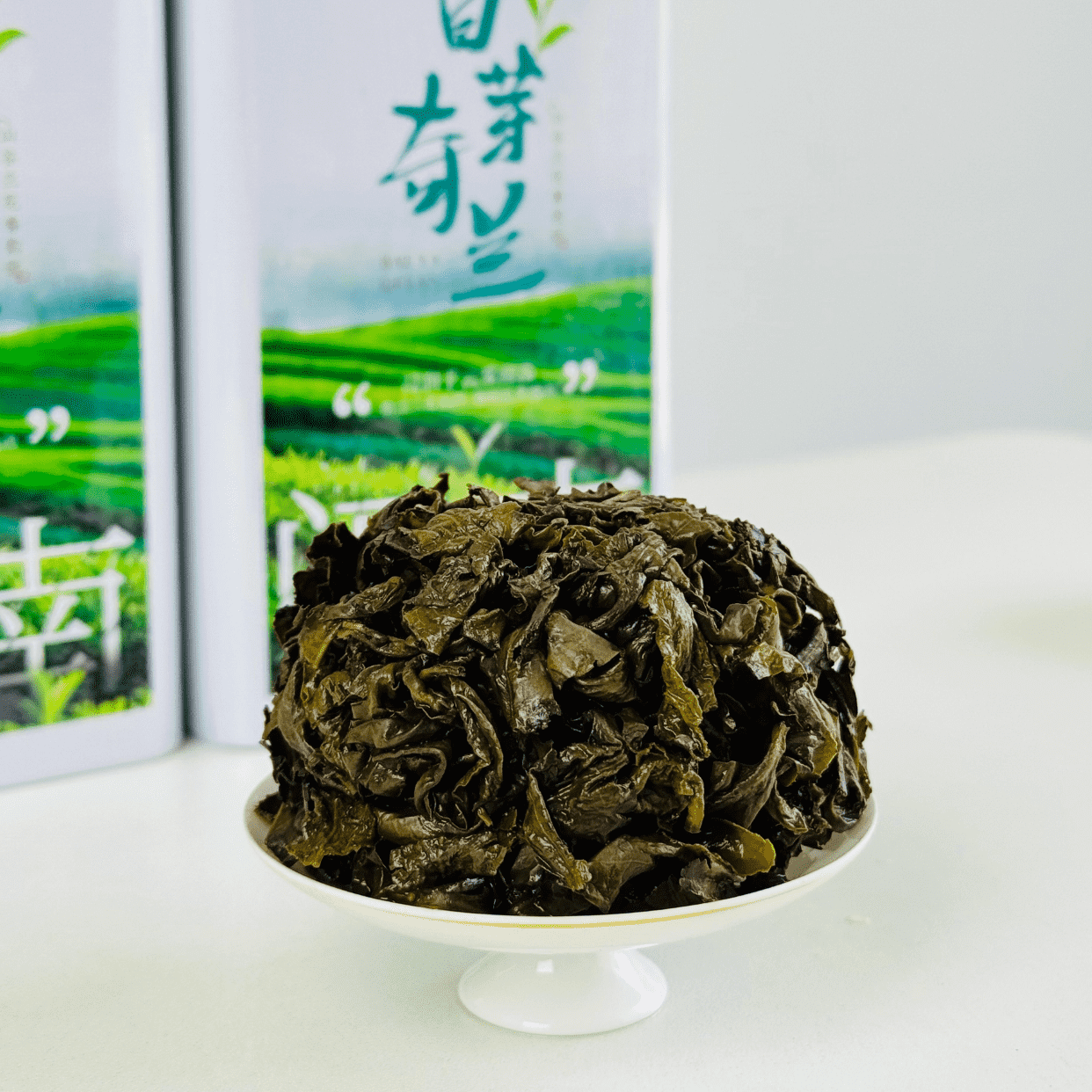 白芽奇兰，兰花中的珍品-第1张图片