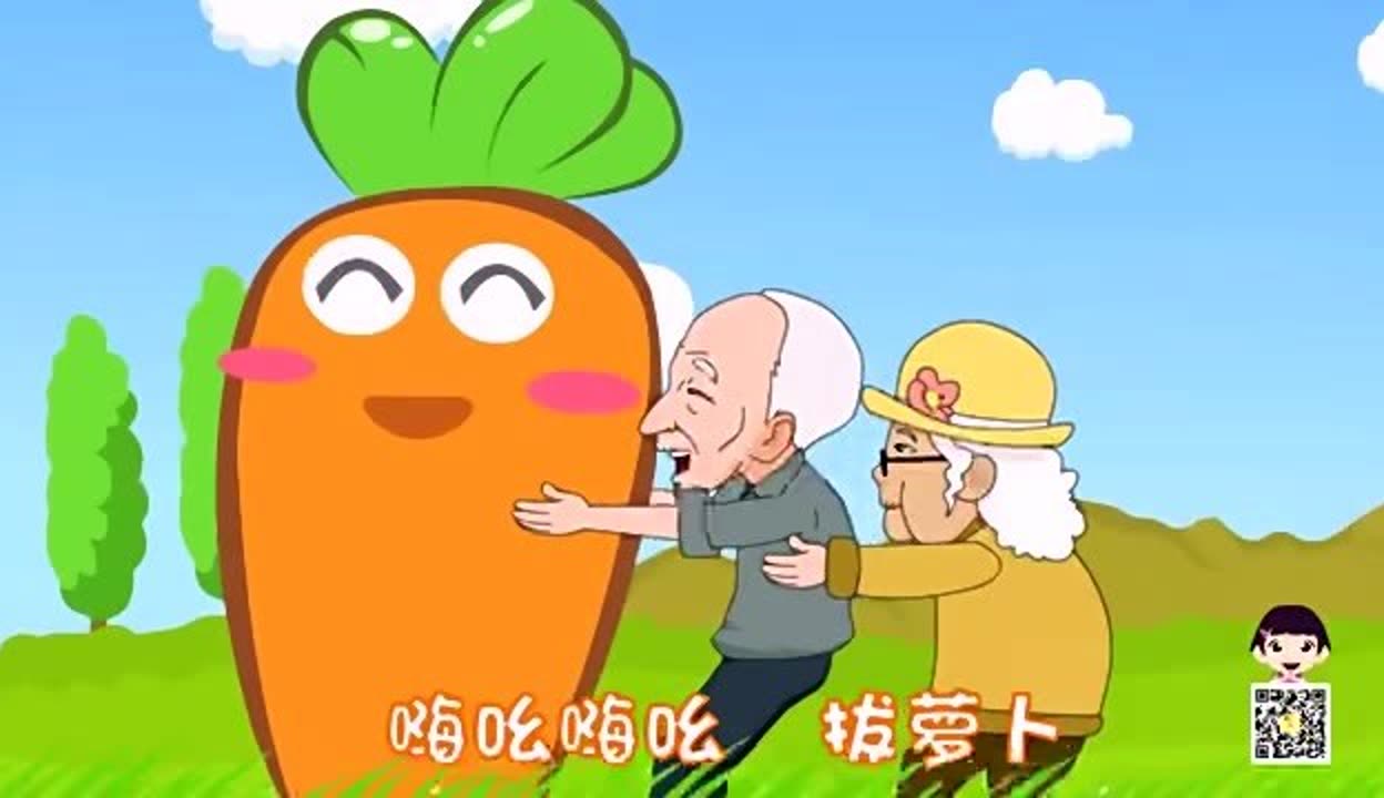 萝卜视频在线观看体验