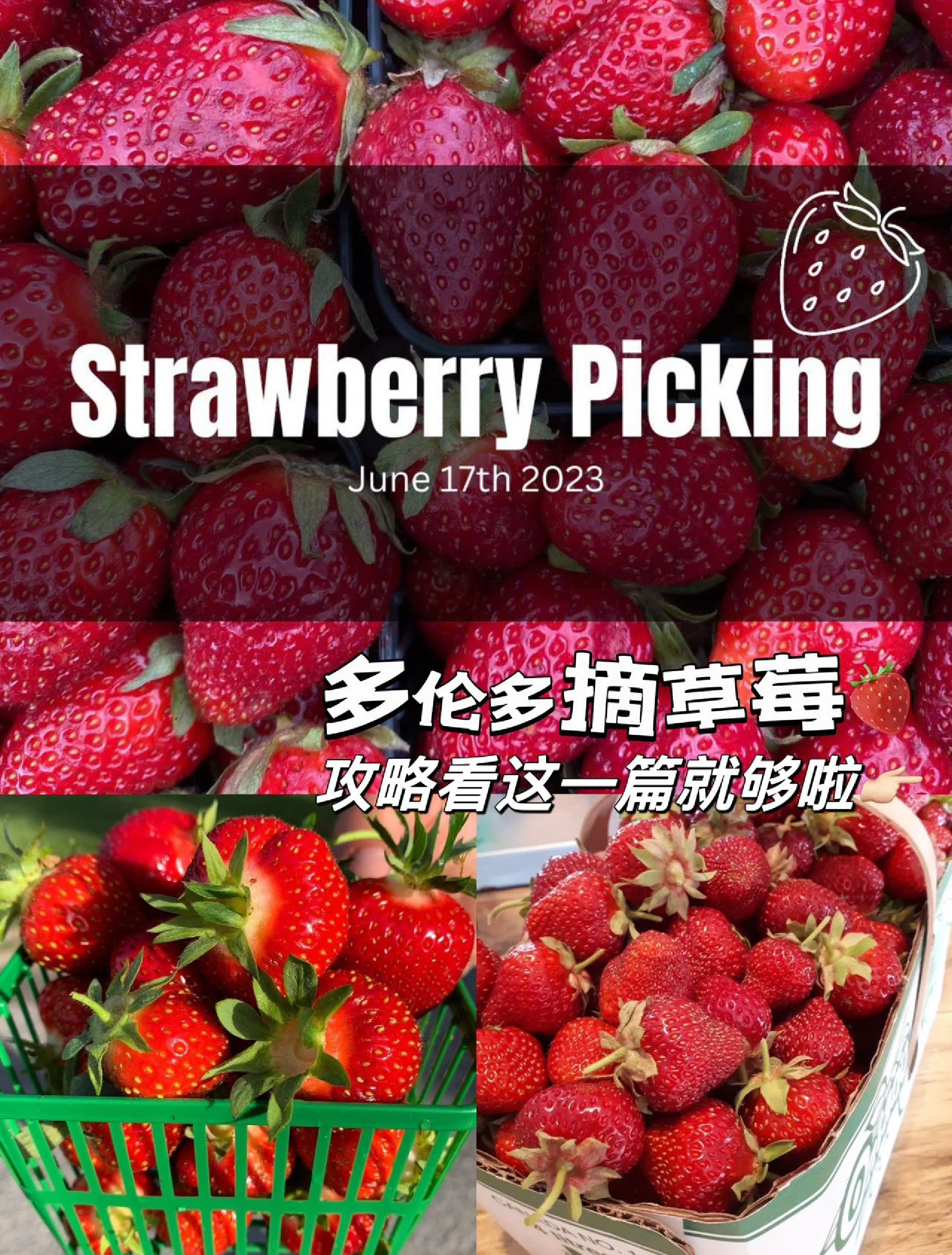 草莓视频免费无限次数观看草莓视频免费无限次数APP介绍-第3张图片