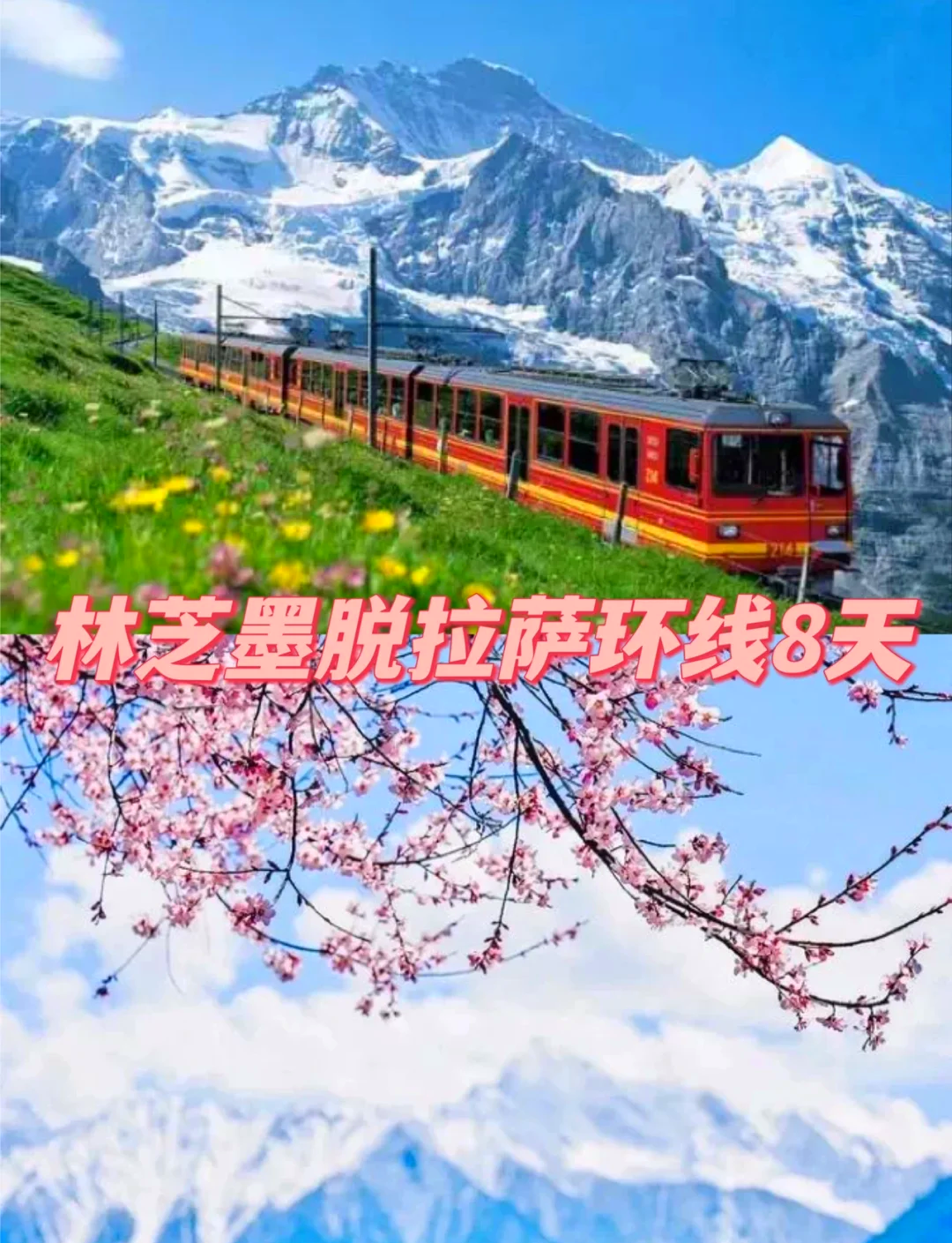 到西藏坐火车旅游一般需要多少费用西藏之旅，探寻神秘之地