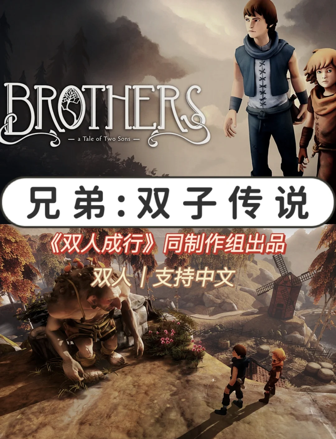 兄弟双子传说-第1张图片
