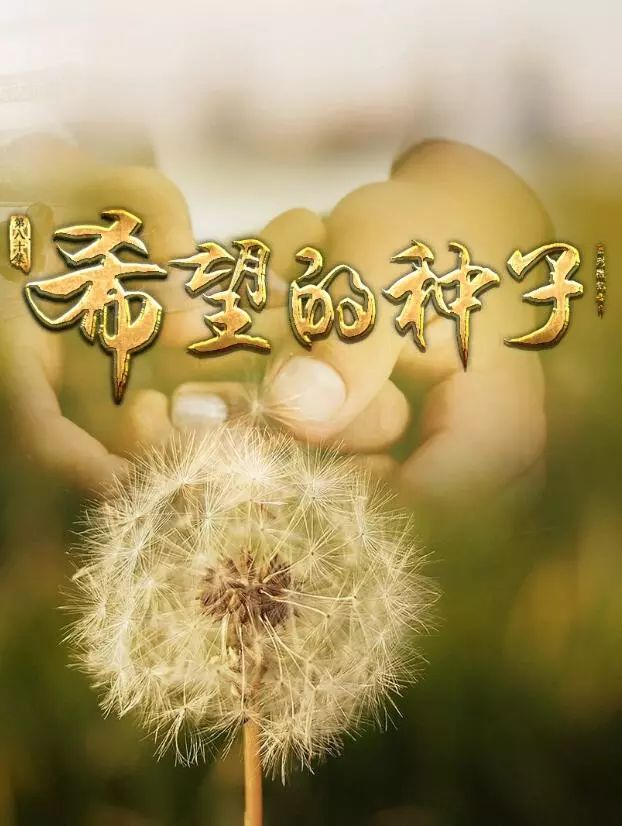 看着镜子中的我，内心涌动着万千思绪。今天，我想分享一段关于我的视频，希望能通过这个平台，与大家一同探讨关于自我认知和成长的话题。