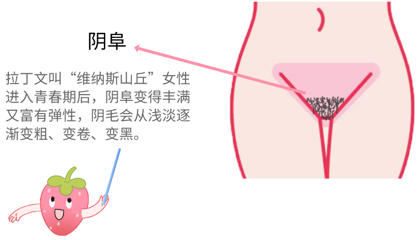 少妇大荫蒂被巨大爽爽大少妇大荫蒂被巨大爽爽一刻-第2张图片