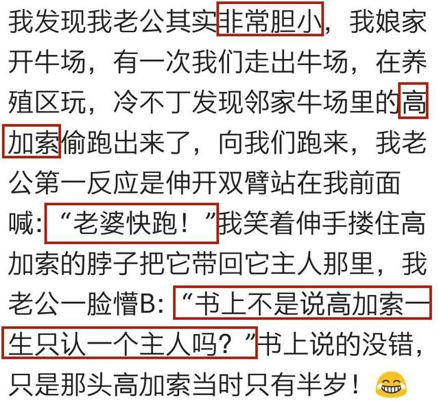 鄂州父女瓜完整版
