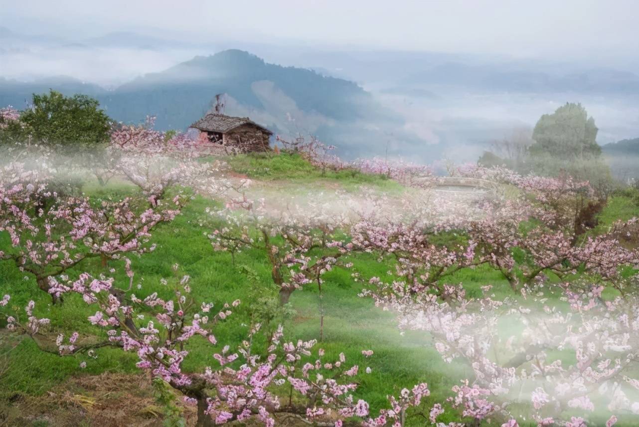 桃花影院电视剧在线播放久久精品，品质生活的追求-第1张图片