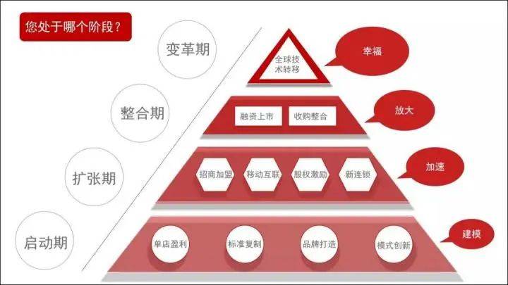 网站推广服务费计入什么科目网站推广服务，提升品牌影响力与业务增长的新引擎-第1张图片