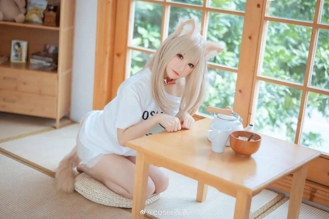 租房送猫娘租房送猫娘，轻松享受宠物生活