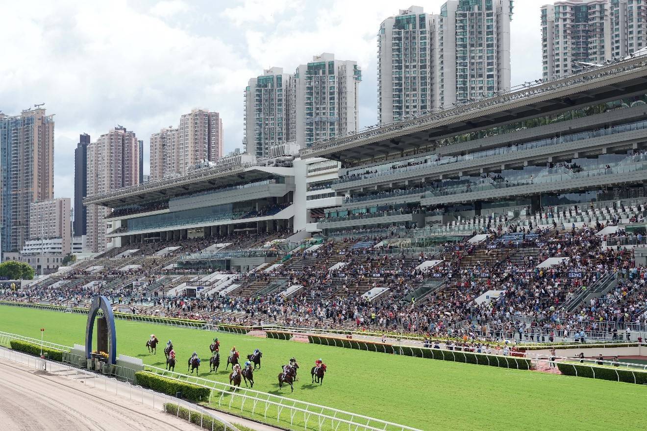 香港赛马会最准资料免费资料香港赛马会最准资料免费资料介绍-第2张图片