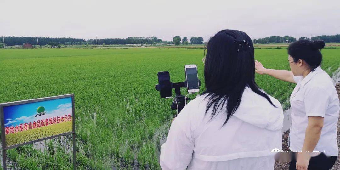 韩宝贝2021年直播回放韩宝贝直播福利在线观看-第3张图片