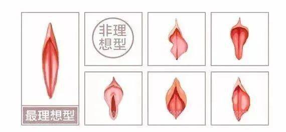 女人荫蒂添的好舒服A片-第3张图片