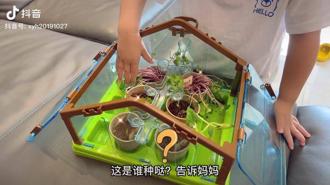 把你的小花园灌溉什么意思小花园灌溉之道-第2张图片