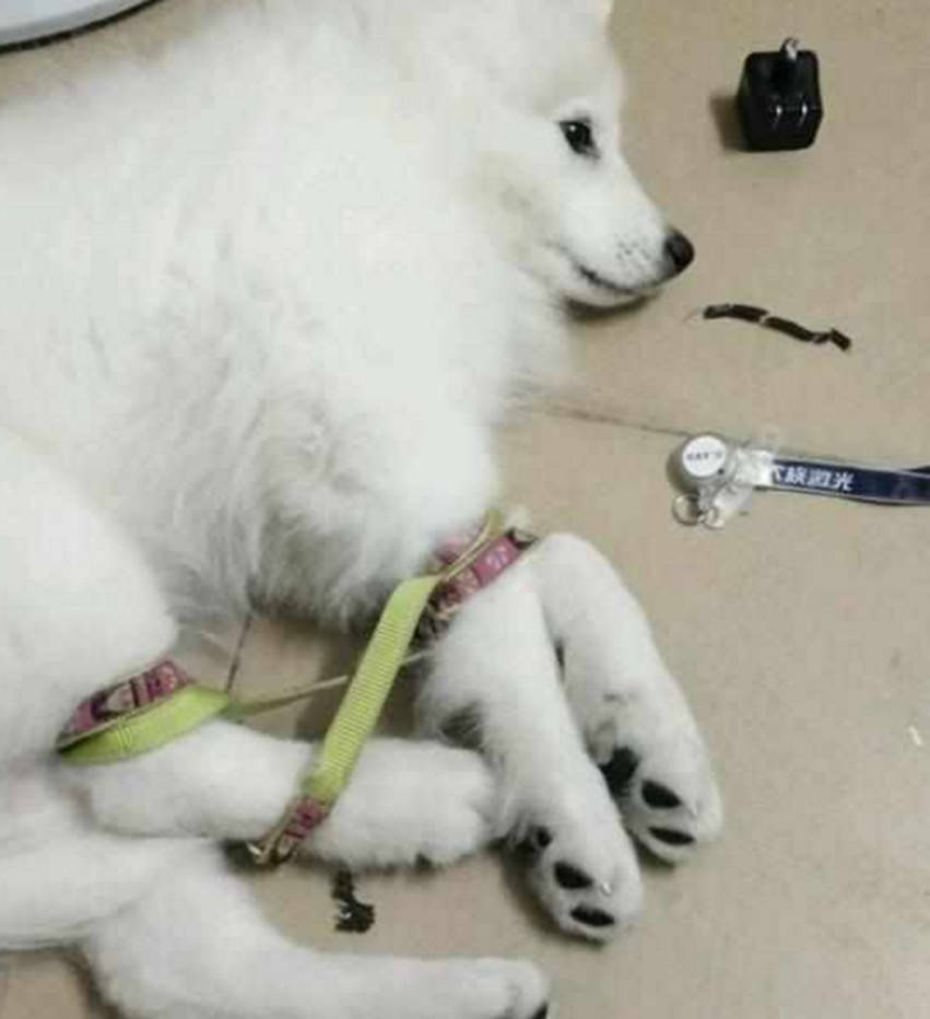 毛都没有就被开了苞在线电影毛都没有被开苞在线电影