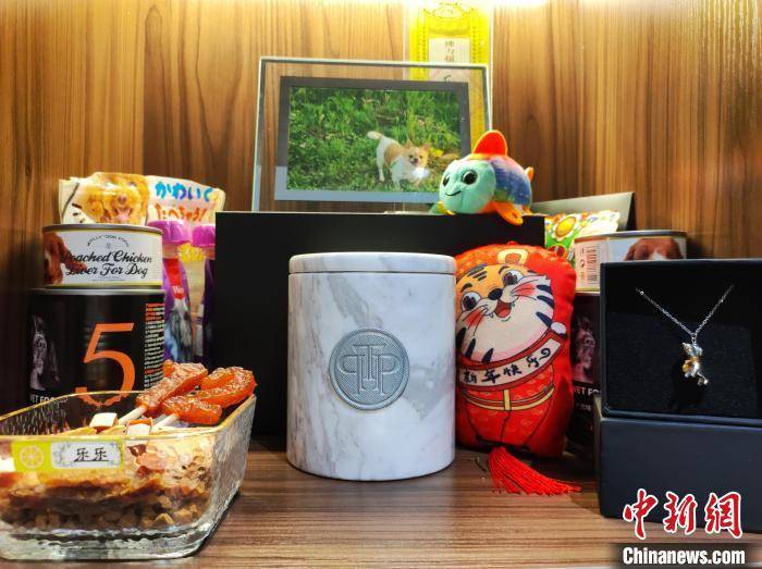 乐乐地带论坛乐乐地带论坛，探索网络交流的新天地-第2张图片